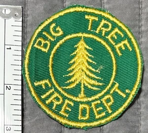 Rara toppa obsoleta Big Tree vigili del fuoco Hamburg Erie County New York NY - Foto 1 di 2