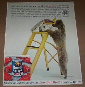 1961 impreso página de anuncio - Ken-L Ration comida para perros LINDO caniche sombrero caja publicidad antigua - Imagen 1 de 1