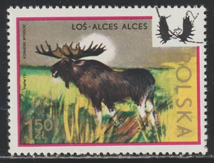Poland 1973 SC# 1973 - Intl. Hunting Committee Congress 50th anniv. Used # 277 - Picture 1 of 2