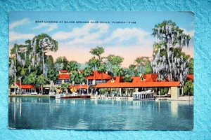 Boat Landings at Silver Springs near Ocala, Florida - Picture 1 of 2