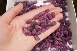 100,00 % natürlich Mosambik rot Rubin Facette Qualität Edelstein grob Lot AAA + 300ct - Bild 1 von 5