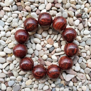 Precioso brazalete Akar Laka 22 mm Dalbergia Parviflora 11 cuentas Kayu Menang #55 - Imagen 1 de 4