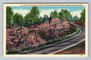 Cumberland MD-Maryland, USA 40 Vintage Souvenir Postkarte - Bild 1 von 2