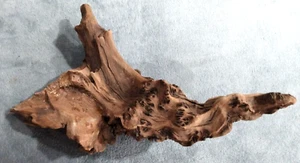 8" inch long Driftwood Natural Root Piece for aquarium or reptile tank - Bild 1 von 7
