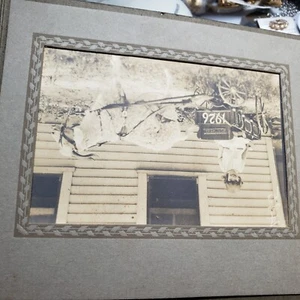 Norma Maxine Ziegenwagen Springfield Mo 1926 Foto - Bild 1 von 6