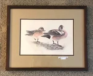 IMPRESIÓN DE PATO D L BURKHART FIRMADA Y NUMERADA ENMARAÑADA Y ENMARCADA C. 1981 85/900 - Imagen 1 de 4