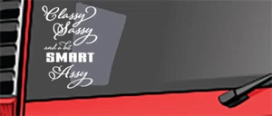 Classy Sassy and a Bit Smart Assy Vinyl Decal Vehicles Cars Windows Walls 8.5" - Picture 1 of 4