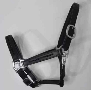 Schimmerndes Bergkristall Leder Pferd gepolstertes Halfter alle Größen (KOSTE... - Bild 1 von 5