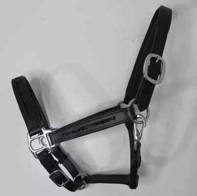 Schimmerndes Bergkristall Leder Pferd gepolstertes Halfter alle Größen (KOSTE... - Bild 1 von 4