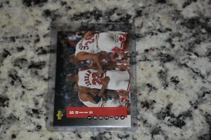 1993-94 Upper Deck Chicago Bulls Team Michael Jordan #213 HOF - Picture 1 of 1