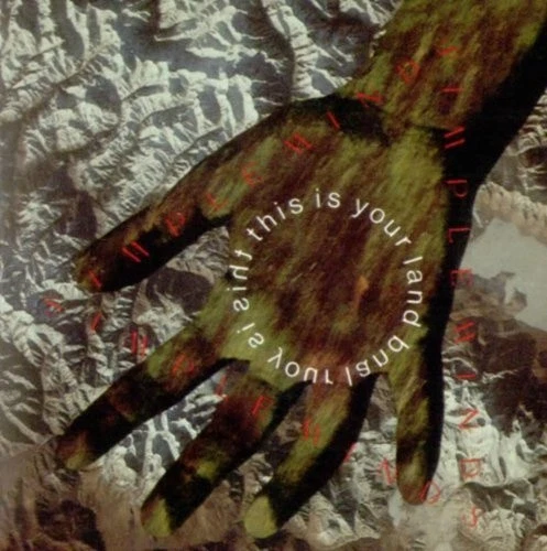 This Is Your Land - Image 1 of 1