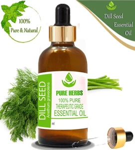 Pure Herbs Dill Seed 100% Pure & Natural Anethum Graveolens Essential Oil - Picture 1 of 50