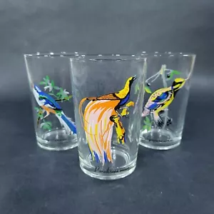 Vintage Vogel Saft Trinkglas KIG Malaysia handbemalt Vogel 8 Unzen Menge 3 - Bild 1 von 11