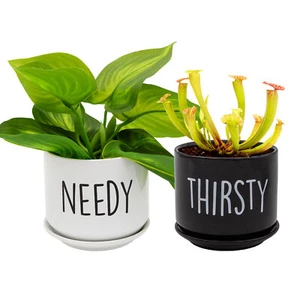 Needy & Thirsty Planter Pots w/Saucers Set of 2, Ceramic Indoor Gardening Pots - Picture 1 of 10