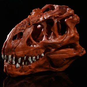 Triceratops Tyrannosaur Rex Skull Model Decoration Dinosaur Figure Toy Collector - Picture 1 of 41