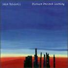 Picture Perfect Morning [Audio CD] Edie Brickell