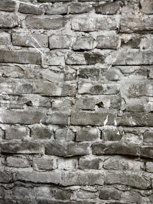 全新 Gray Brick Photo Backdrop 130 厘米 x 220 厘米 — 第 1/3 张图片