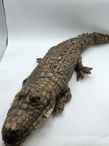 26" Sunny & Co Plush Alligator Gatorland Gator 6013S 2005 - Picture 1 of 12