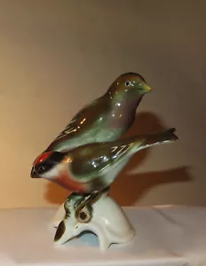 7533:GEROLD,Porzellan, Vogelpäarchen, Finken, Vitrinenzustand. Top erhalten. - Bild 1 von 6