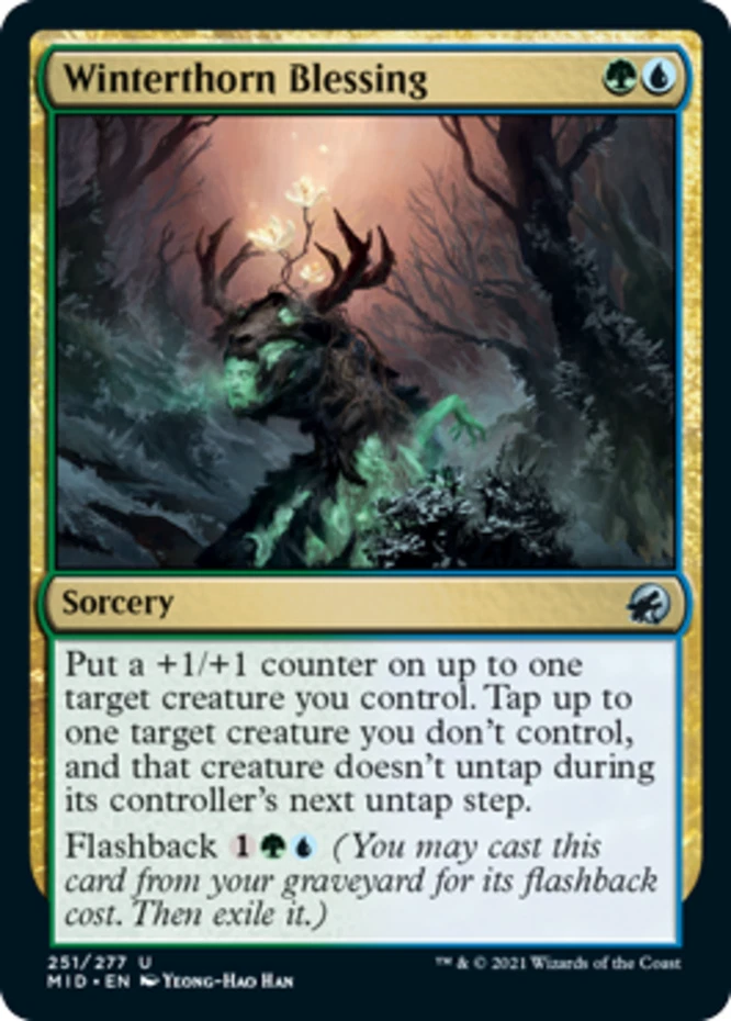x1 Winterthorn Blessing - Innistrad: Midnight Hunt - NM - MTG - Image 1 of 1