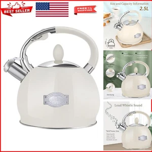 Stylish Whistling Tea Kettle for Stovetop - 2.64 Quart Capacity, Safe Design - Picture 1 of 9
