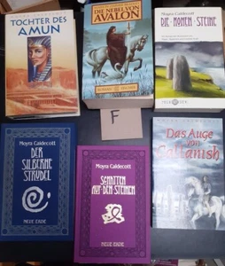 Buchpaket 6 Titel Historische Mysterie-Romane; gut erhalten - Bild 1 von 7