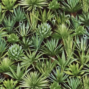 Agave West Black Quilt Sew Fabric TIMELESS TREASURES - Picture 1 of 1