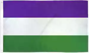 Sufragista 3x5 pies Poli Bandera Feminista Sufragista Mujeres Derecho al Voto Bandera - Imagen 1 de 4