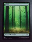 Forest 381 Land MTG Double Masters