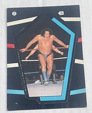 1985 O-Pee-Chee WWF Pro Wrestling Stars Trading Cards 10