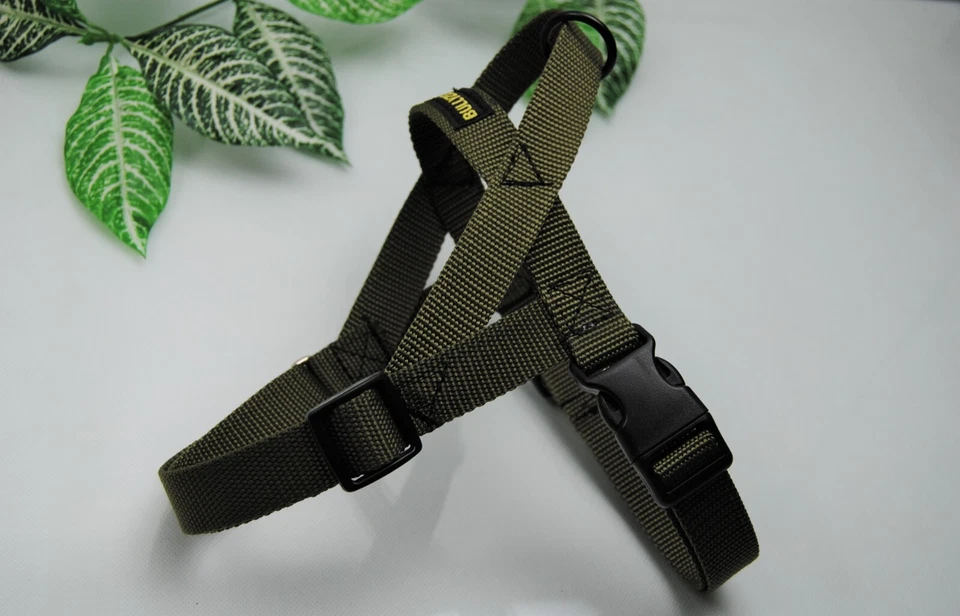 Bullyzei Norwegergeschirr Oliv-Grün Gr.S-M  Französische Bulldogge Beagle - Bild 1 von 1