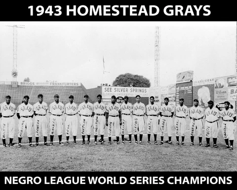 1943 Homestead Grays - Negro League World Series Champions, 8x10 Team Photo Cover