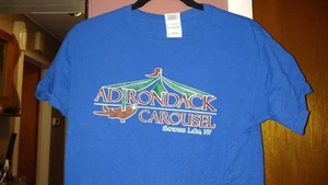 Gilden Youth Large Unisex Adirondack Carousel Blue T-shirt - Picture 1 of 4