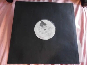 The Headhunters (2443) "Survival 0f the Fittest PROMO Arista white Label AL 4038 - Bild 1 von 5