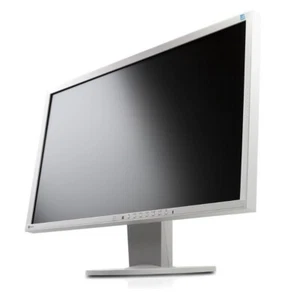EIZO EV2336W 23 Zoll IPS Monitor 1920x1080 Pixel 16:9 6ms VGA DVI DisplayPort 24 - Bild 1 von 8