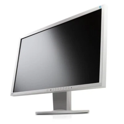 EIZO EV2336W 23 inch IPS Monitor 1920x1080 Pixels 16:9 6ms VGA DVI DisplayPort 24 - Image 1 of 4