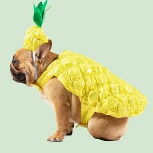Halloween Pineapple Design Pet Costume For Dog And Cat - Size: Small - Picture 1 of 7