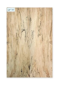 Electric guitar book matched Spalted Maple top 4A Exclusive stock # 939 - Imagen 1 de 5