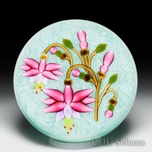 Peter McDougall 2011 fuchsia glass paperweight - Picture 1 of 1