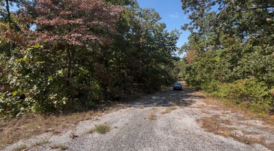 Land For Sale Arkansas OFF GRID BID FOR DOWN PAYMENT  and $29 a Month - Image 1 of 4