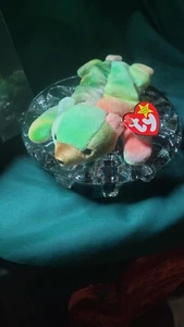 Ty Beanie Baby Original Sammy Born June 23rd 1998 Retired - Picture 1 of 14