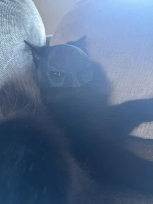 Batman Mask for Cats. 3D Printed. - Image 1 of 4