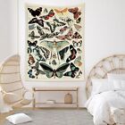 ECOTOB Retro Butterfly Tapestry Colorful Various Butterflies Vintage Beige Tapes