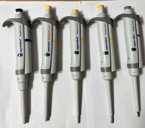 Juego de 5 pipetas Eppendorf Research Plus 100,10,20,200,1000uL Pipetman - Imagen 1 de 9