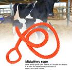 Durable Farm Cow Obstetric Midwifery Rope for Livestock Delivery MX