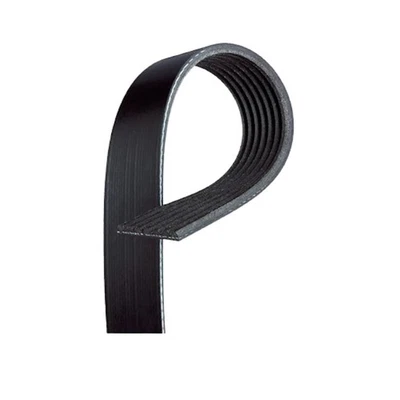 Cinturón Serpentine ACDelco genuino para BMW 750Li xDrive 2017-2019 | Negro | 7 costillas Foto 1 de 4