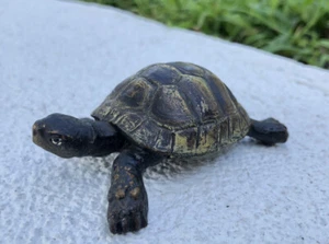 Realistic Antique Austria Vienna Bronze Old Turtle Very Cute - Picture 1 of 12
