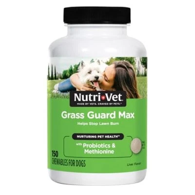 Nutri-Vet Grass Guard Chewables for Dogs- Made with Probiotics  Assorted Sizes  - Image 1 of 4