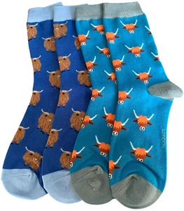 Highland Cow Socks Hairy Coo Cows Cattle 2 Pair Pack Womens Turquoise Blue New - Picture 1 of 6