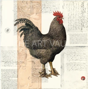 Gallo Paulet de Campagne I de Pierre Lapin 20x20 - Imagen 1 de 1
